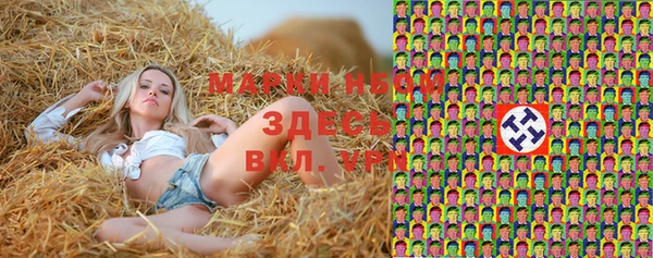 стаф Абдулино