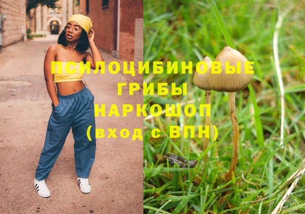 spice Алзамай