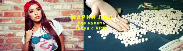 прущие грибы Алексин