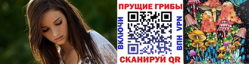 Галлюциногенные грибы Psilocybine cubensis Юрга
