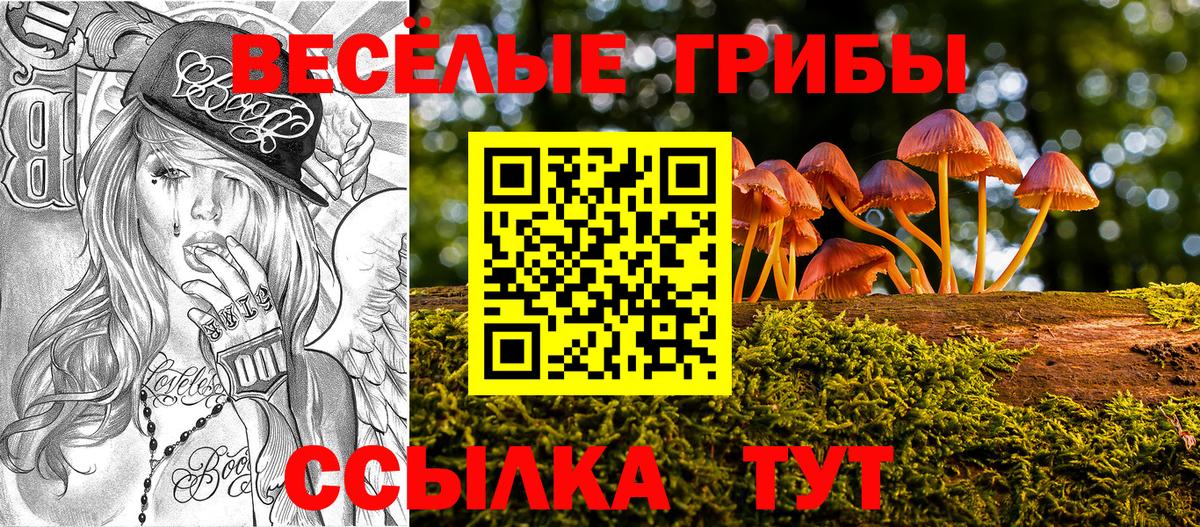 Юрга  Галлюциногенные грибы ЛСД  Вход с VPN 
